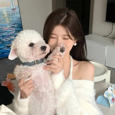 魅力航班