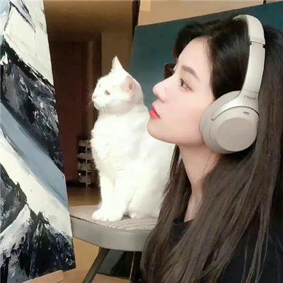 曹雪芹与红楼梦